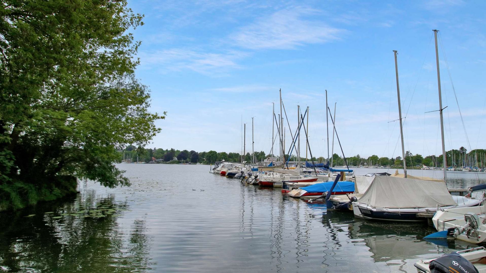 Umgebung