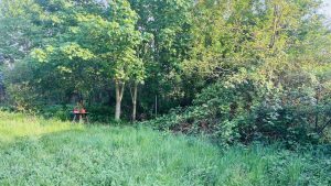 Blick auf das Grundstück in West-Staaken