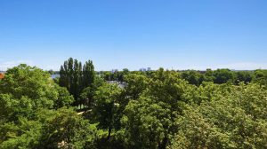 Ausblick ins Grüne