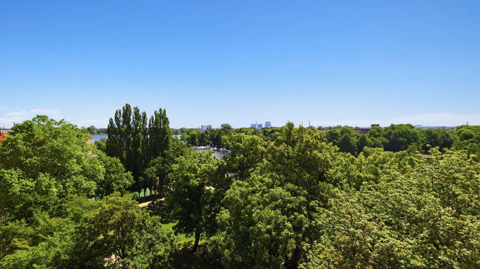 Ausblick ins Grüne