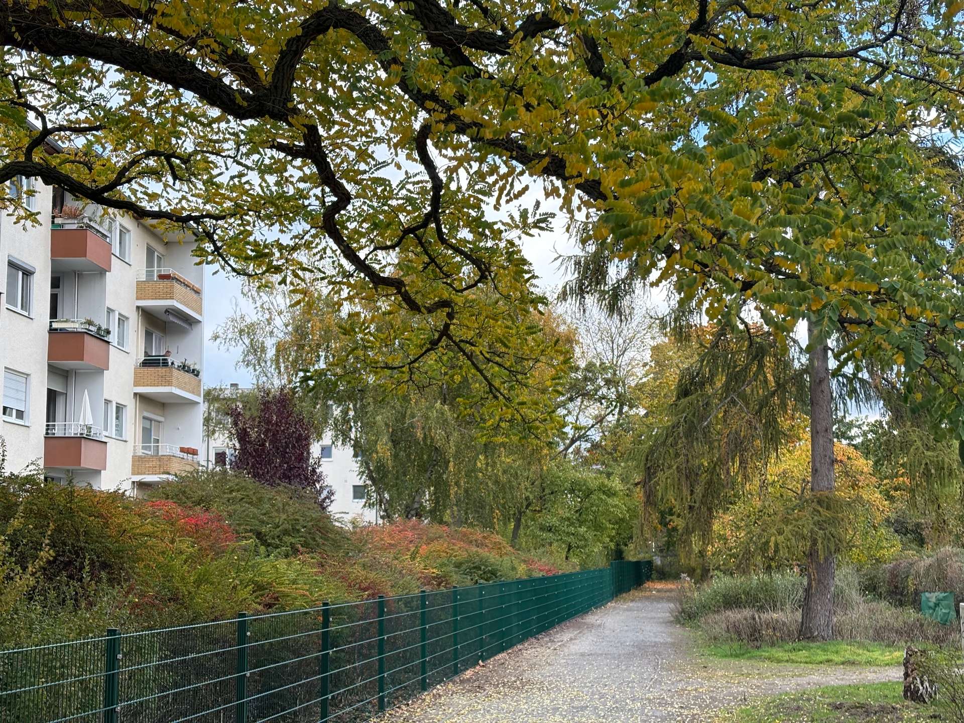 Umgebung